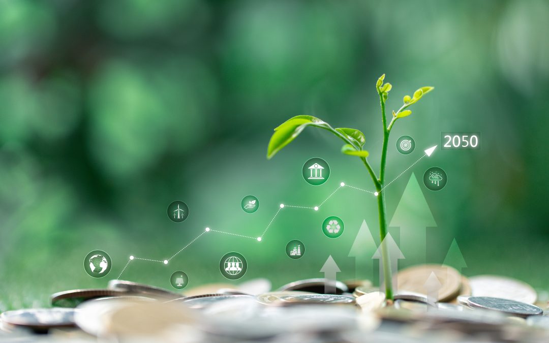 The Benefits of an ESG policy